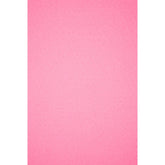 Hobby Vilt | lapje 20 x 30 cm | Roze Vilt VILT - PES - 2030 - ROZE - 53